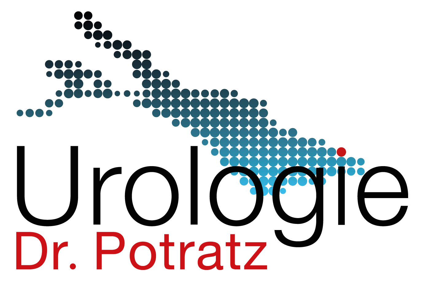 Praxis logo (transparent), Größe: 84 KB, Format: PNG
